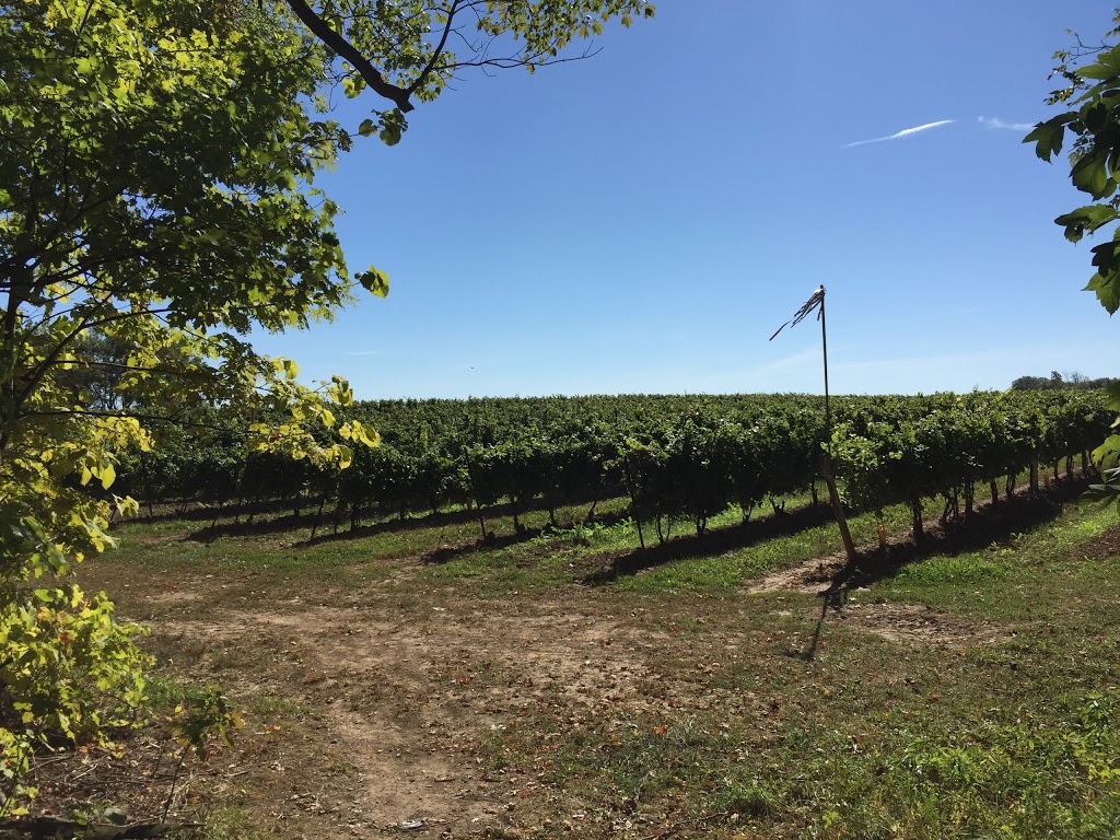 Bruce trail | 2C0, Bruce Trail, Vineland, ON L0R 2C0, Canada