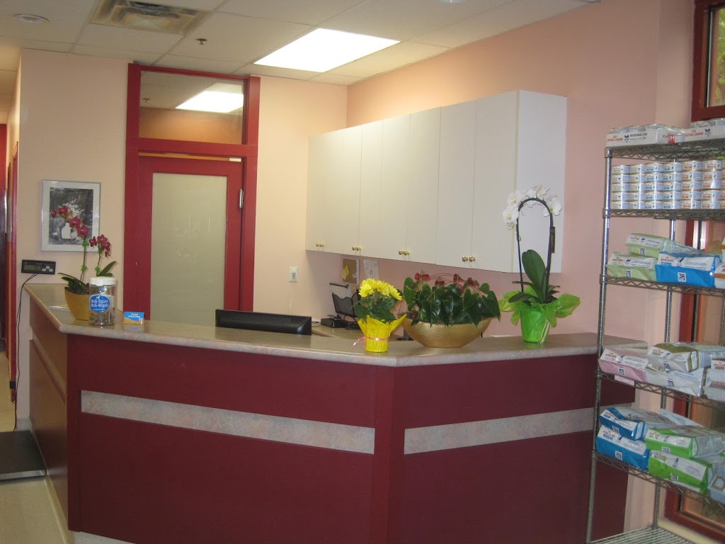 Champlain Animal Clinic | 3150 E 54th Ave #190, Vancouver, BC V5S 1Z1, Canada | Phone: (604) 439-0007