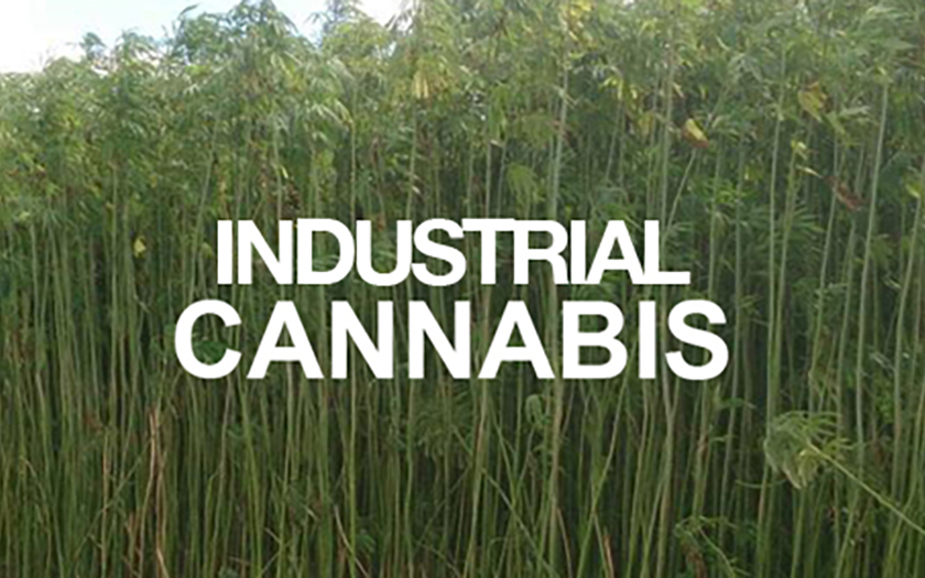 CannaSystems | 29 Lynnhaven Rd, North York, ON M6A 2K7, Canada | Phone: (416) 939-6143