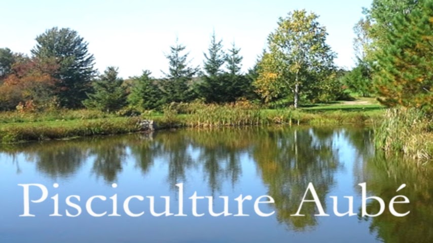 Pisciculture Aubé | 382 Chemin du Golf, Montmagny, QC G5V 3R9, Canada | Phone: (418) 248-5610