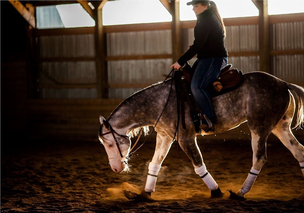 Walker Performance Horses | 1979 NB-112, Upper Coverdale, NB E1J 1Z1, Canada | Phone: (506) 624-7433