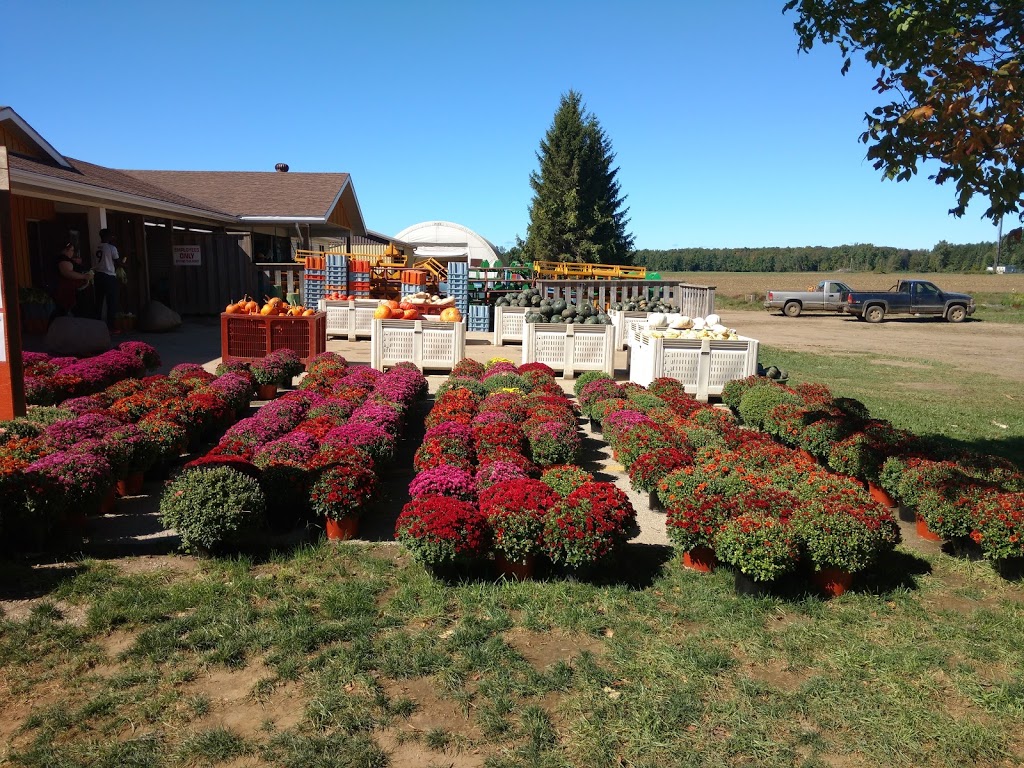 Hi-Berry Farm | 5639 ON-21, Port Elgin, ON N0H 2C6, Canada | Phone: (519) 832-5283