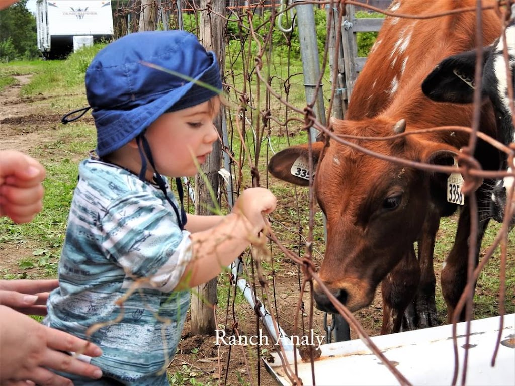 Ranch Analy | 14 rang 5 Est, Saint-François-Xavier-de-Viger, QC G0L 3C0, Canada | Phone: (418) 860-8854