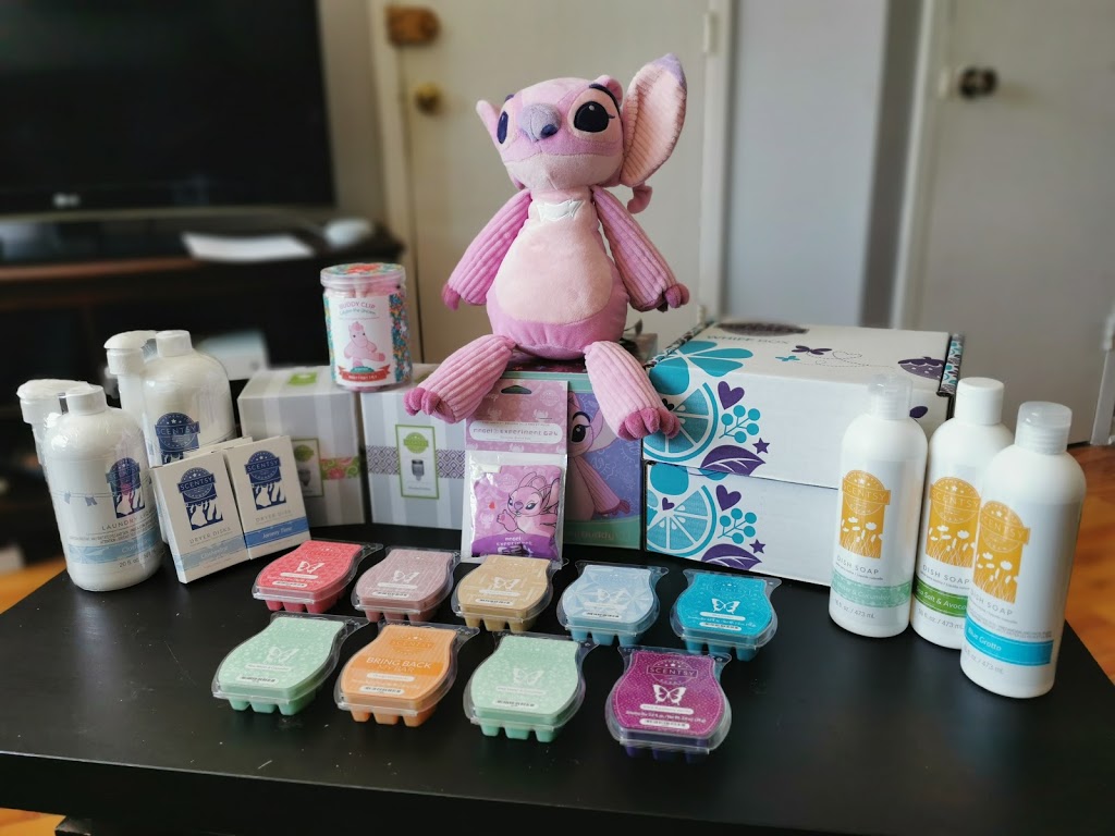 Christine Lamarche Conseillère Indépendante Scentsy | 180 Rue Rougemont Appartment 3, Longueuil, QC J4J 2B3, Canada | Phone: (819) 216-5335