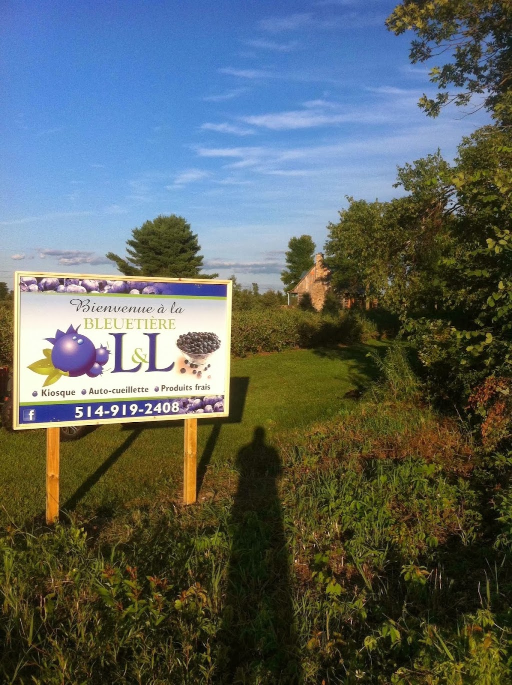 La bleuetière OliDan | 2840 Rang des Savary, Saint-Antoine-Abbé, QC J0S 1N0, Canada | Phone: (450) 210-1043