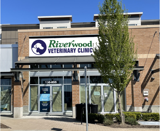 Riverwood Veterinary Clinic | 855 Village Dr #130, Port Coquitlam, BC V3B 0L4, Canada | Phone: (604) 945-4949