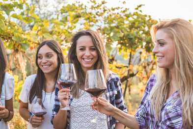 Niagara On The Lake Wine Tours | 758 Niagara Stone Rd Unit B, Niagara-on-the-Lake, ON L0S 1J0, Canada | Phone: (289) 272-2869