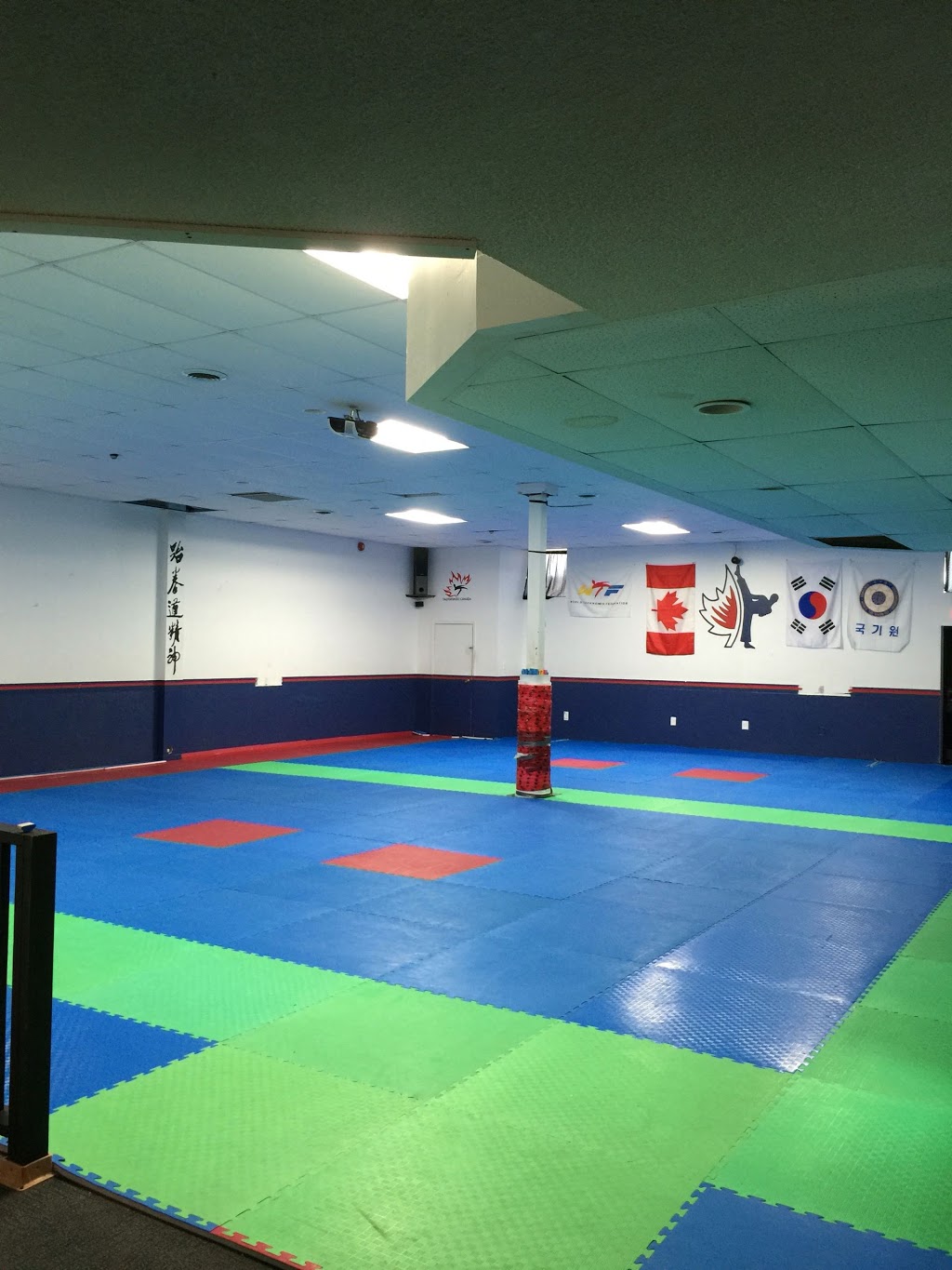 Whitby Taekwondo Academy | 1240 Phillip Murray Ave #1, Oshawa, ON L1J 6Z9, Canada | Phone: (905) 449-8532