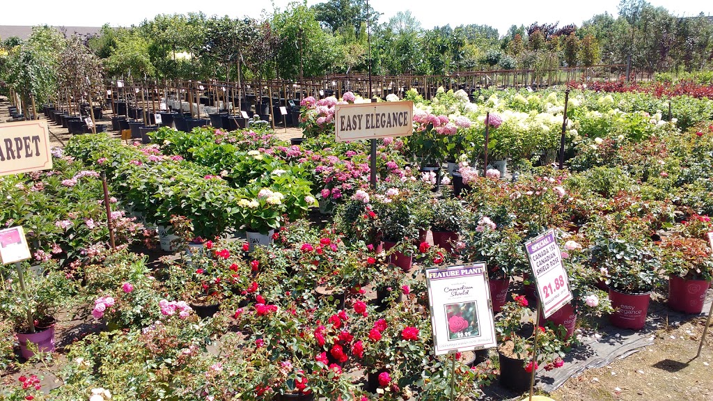 Grobes Nursery and Garden Centre | 1787 Greenhouse Rd, Breslau, ON N0B 1M0, Canada | Phone: (519) 648-2247