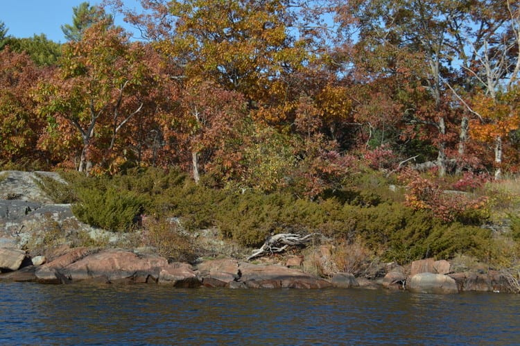 Carefree Boat Club Georgian Bay | 3282 Ogdens Beach Rd, Midland, ON L4R 4K6, Canada | Phone: (855) 680-2628