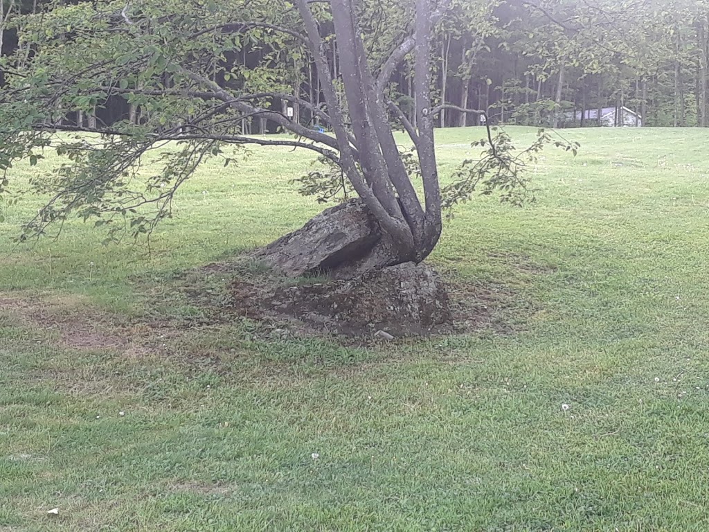 Parc de la mairie Shefford | Chemin Robinson O, Shefford, QC J0E, Canada