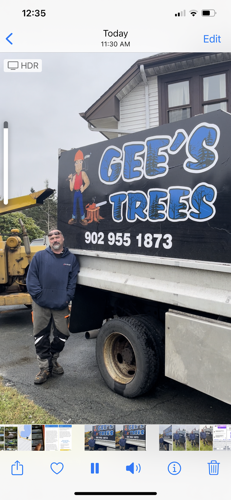 Gees Trees | 3354 Clam Harbour Rd, Clam Harbour, NS B0J 2L0, Canada | Phone: (902) 955-1873