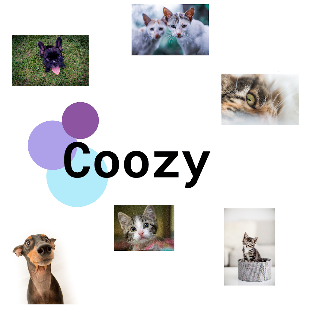 coozy | 990 Rte 105, Gracefield, QC J0X 1W0, Canada | Phone: (819) 592-9008