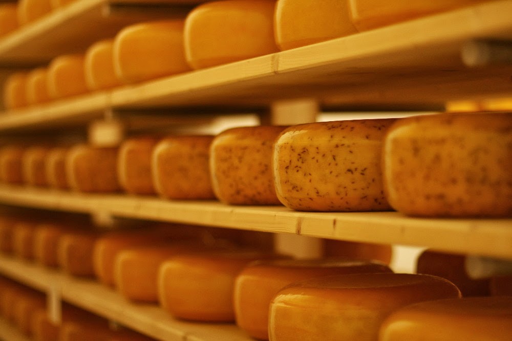 Blyth Farm Cheese | 82521 Allboro Line, Blyth, ON N0M 1H0, Canada | Phone: (226) 523-5884