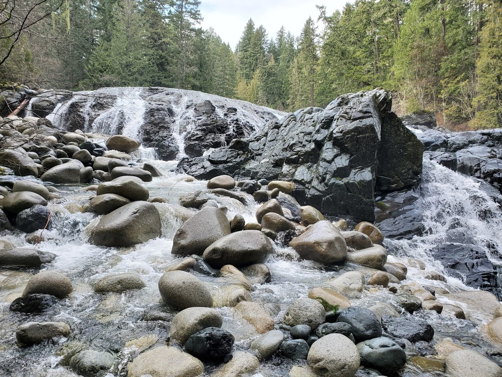 Englishman River Falls (Upper Falls) | Nanaimo F, BC V0R, Canada | Phone: (250) 474-1336