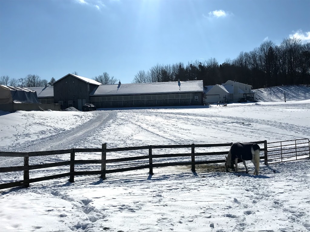 Greenfields Stables West | Township Rd 11, Bright, ON N0J 1G0, Canada | Phone: (519) 716-9600