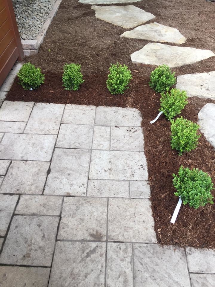 S & S Landscaping | 147 Gondola Point Rd, Rothesay, NB E2E 2C3, Canada | Phone: (506) 636-1244