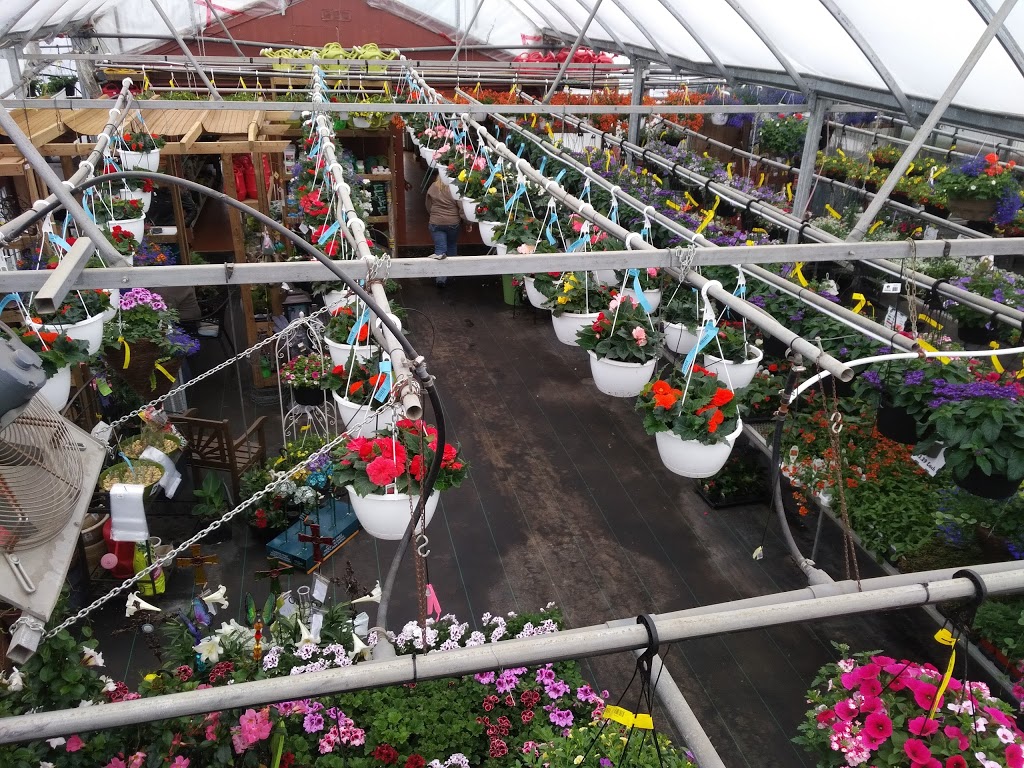 Azilda Greenhouses | 300 Carriere St, Azilda, ON P0M 1B0, Canada | Phone: (705) 983-5252