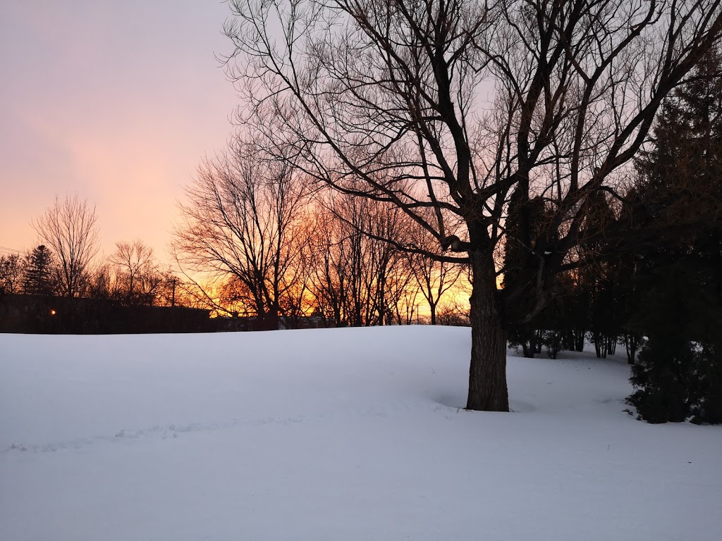 Parc de lAncienne-Pépinière | Montreal, QC H1M 1R7, Canada