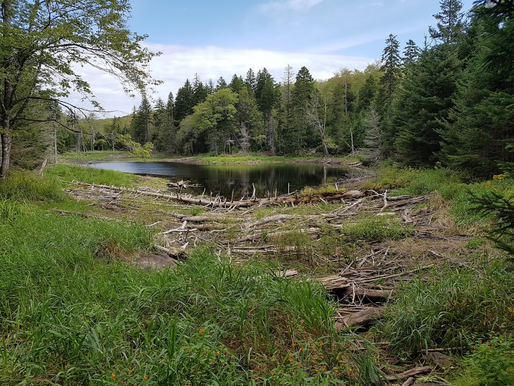 Gully Lake Wilderness Area | Kemptown Rd, Kemptown, NS, Canada | Phone: (800) 565-1633