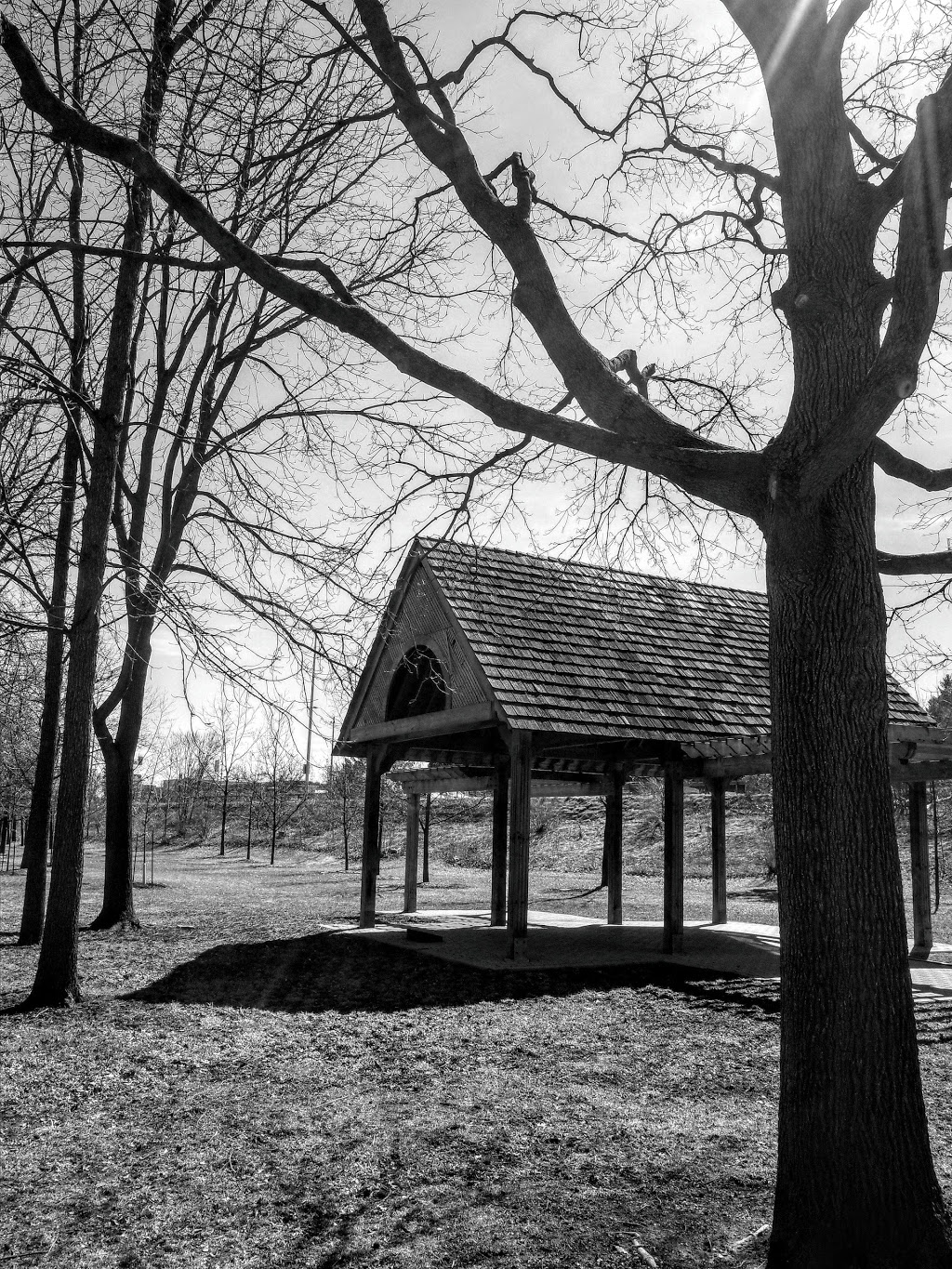 Charles F. Watson and Family Park | 26 Pine Tree Crescent, Brampton, ON L6W 1C8, Canada