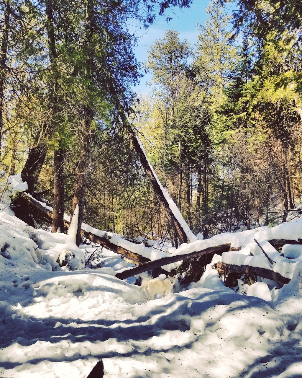 Mazukama Falls Hiking Trail | Thunder Bay, Unorganized, ON P0T 3C0, Canada | Phone: (807) 887-4021