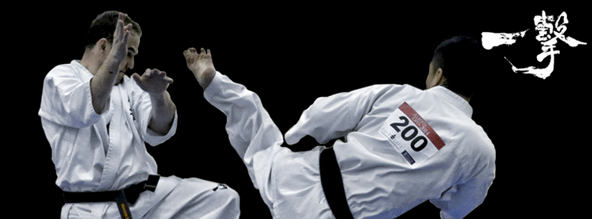 Edmonton Kyokushin Karate Club | 260 Lakewood Rd E Northwest, Edmonton, AB T6K 3L4, Canada | Phone: (780) 975-8796
