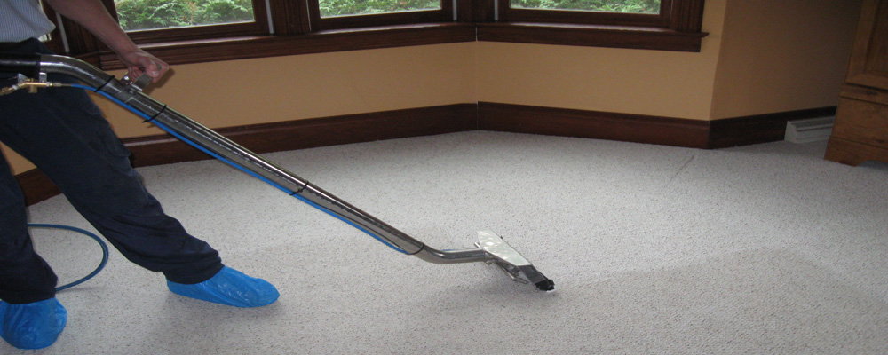 Alpine Carpet Care | 7010 Lanigan Dr, Regina, SK S4X 3X9, Canada | Phone: (306) 533-7199