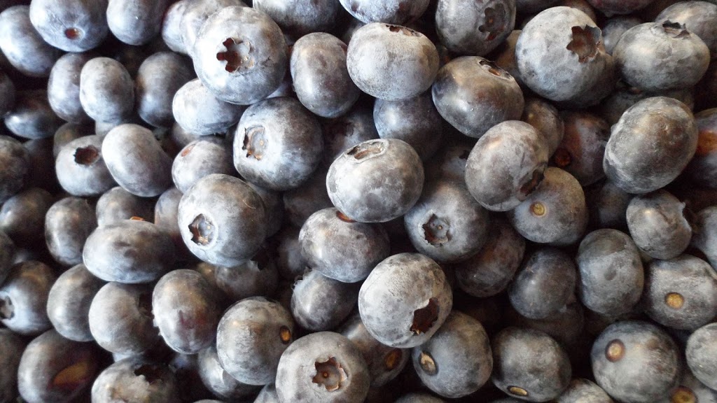 Jay’s Blueberry Farm | 21902 Telegraph Trail, Langley City, BC V1M 3S6, Canada | Phone: (604) 783-1799