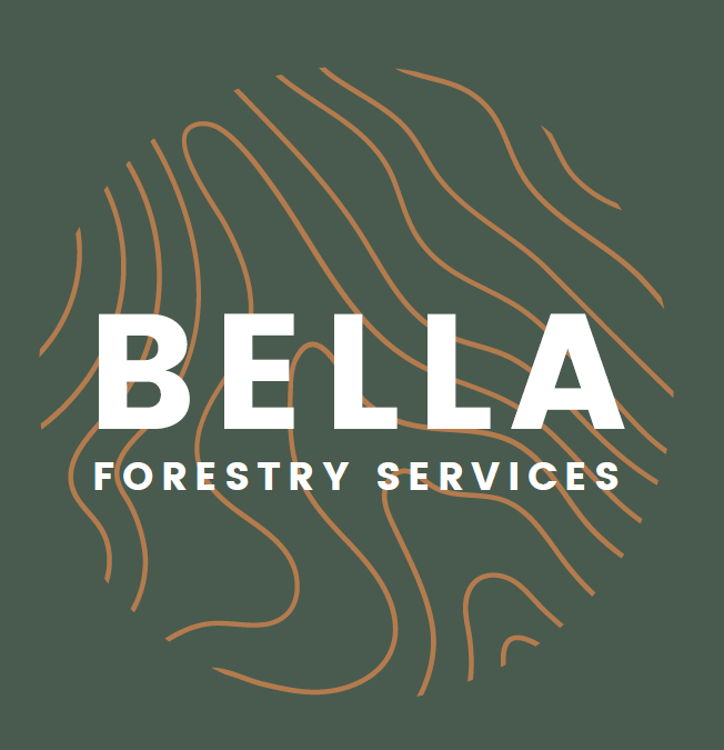 Bella Forestry Services | Birds Creek, Bancroft, ON K0L 1C0, Canada | Phone: (613) 360-9792