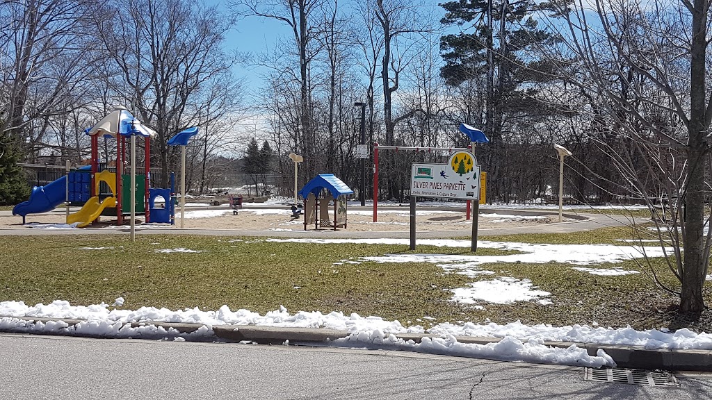 Silver Pines Parkette | 101 Stave Crescent, Richmond Hill, ON L4C 9J2, Canada | Phone: (905) 771-8870