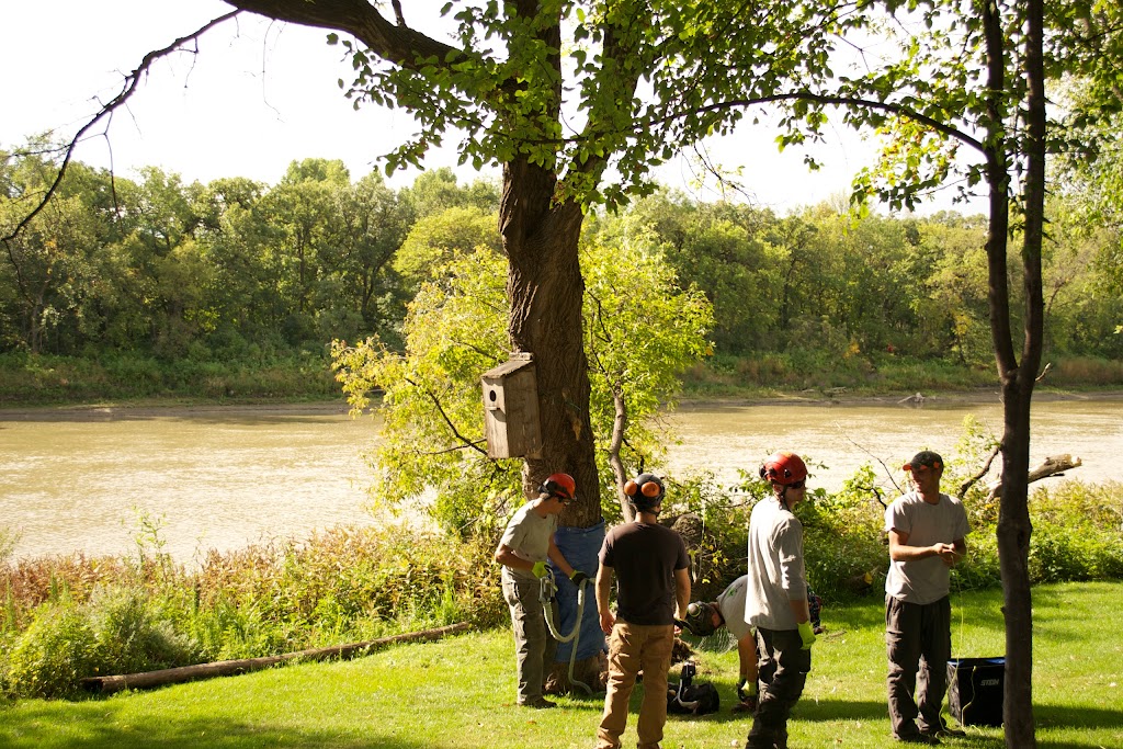 Timberland Tree Service | 815 Elmhurst Rd, Winnipeg, MB R3R 0V3, Canada | Phone: (204) 291-9032