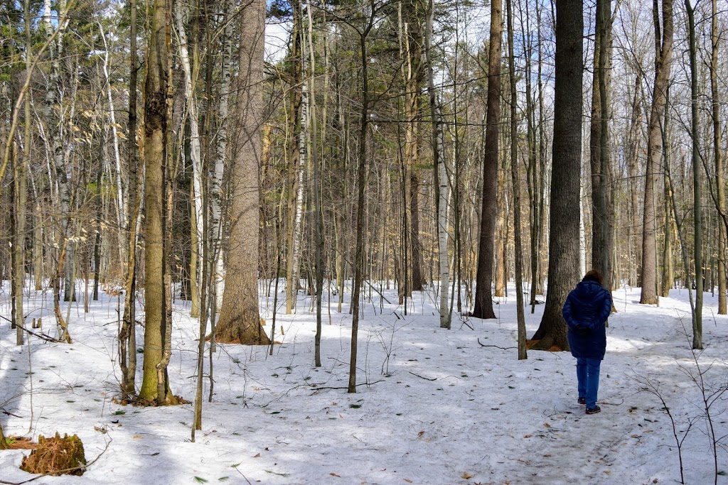 Parc naturel de la Tourbière-Du-Bordelais | Saint-Lazare, QC J7T 2E3, Canada | Phone: (450) 424-8000