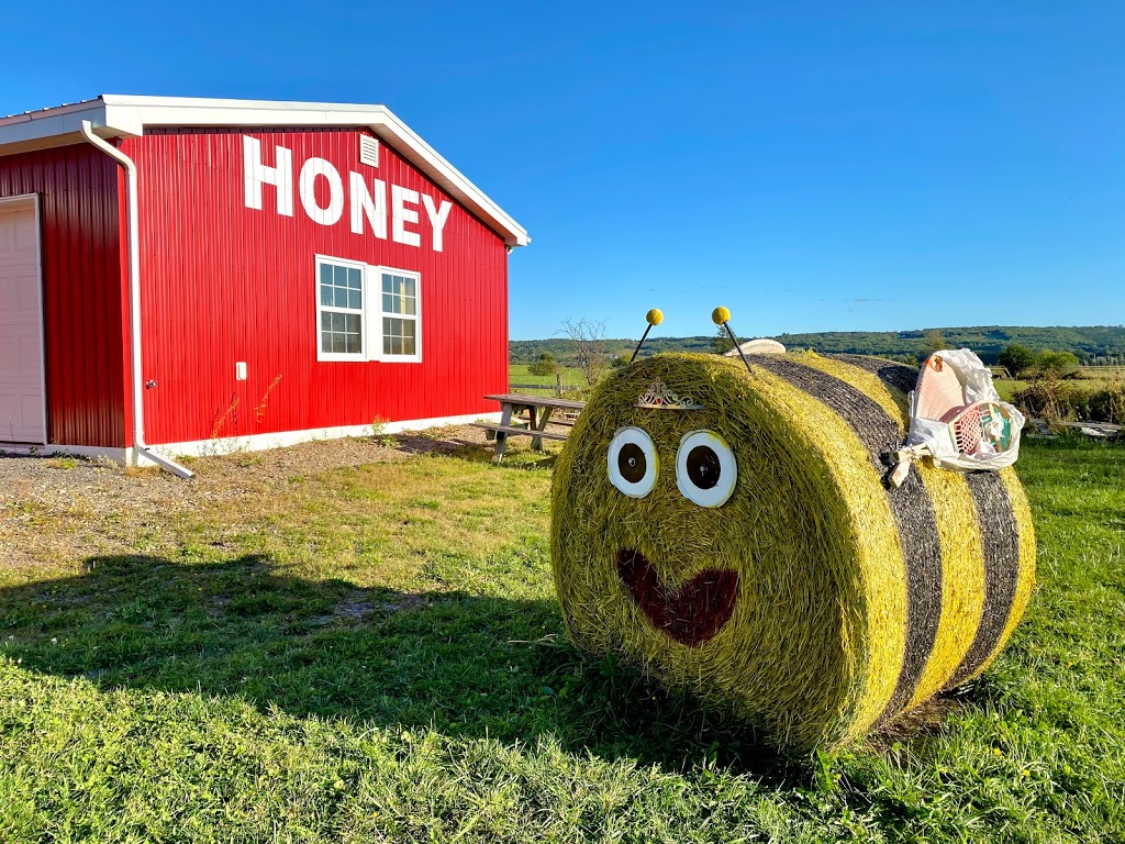 WoodnHive Honey | 1284 Starrs Point Rd, Port Williams, NS B0P 1T0, Canada | Phone: (902) 679-8996