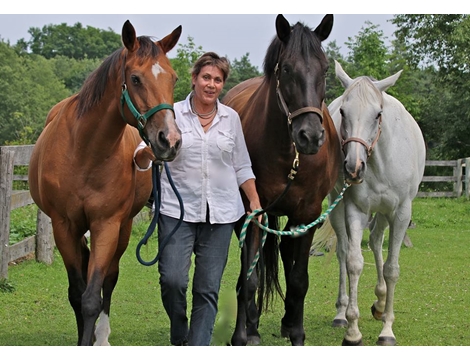 Faith Equine Connection | 4981 Vivian Rd, Cedar Valley, ON L0G 1E0, Canada | Phone: (905) 252-3724