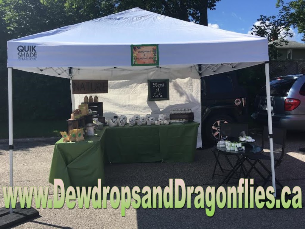 Dewdrops & Dragonflies | 247 Hodgson Dr, Newmarket, ON L3Y 1E3, Canada | Phone: (416) 786-1497