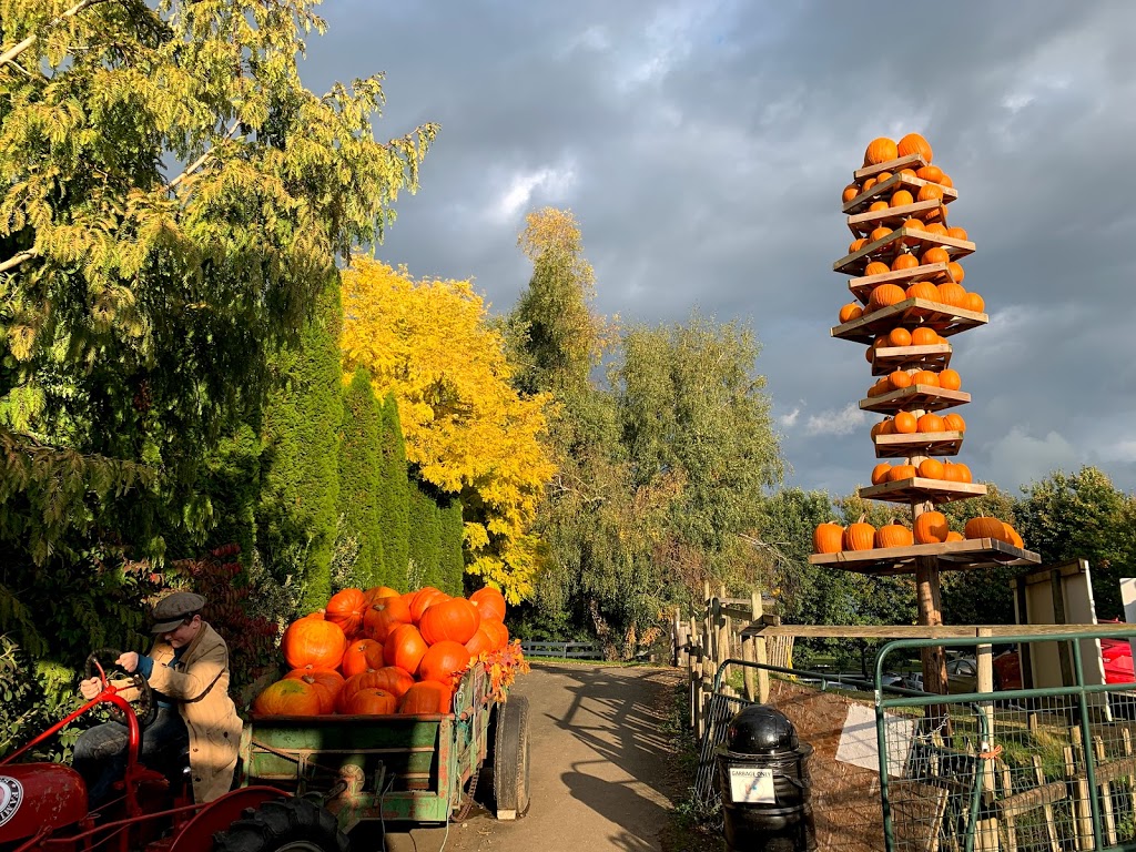 Applebarn Pumpkin Farm (Taves Farms) | 333 Gladwin Rd, Abbotsford, BC V2S 8A7, Canada | Phone: (604) 853-3108