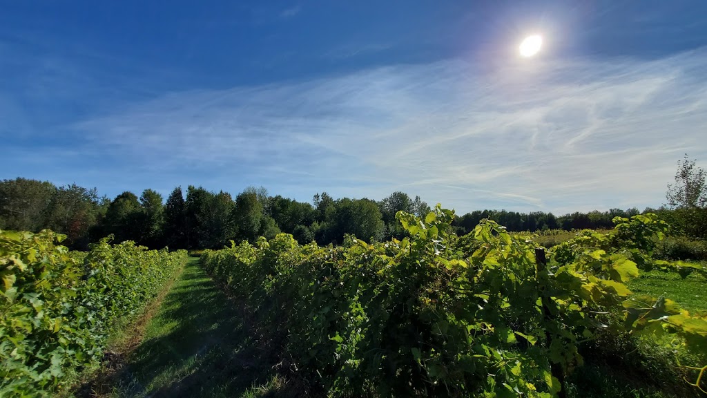 Vignoble La Grenouille | 434 Chemin Plouffe, Cowansville, QC J2K 3G6, Canada | Phone: (450) 578-6562