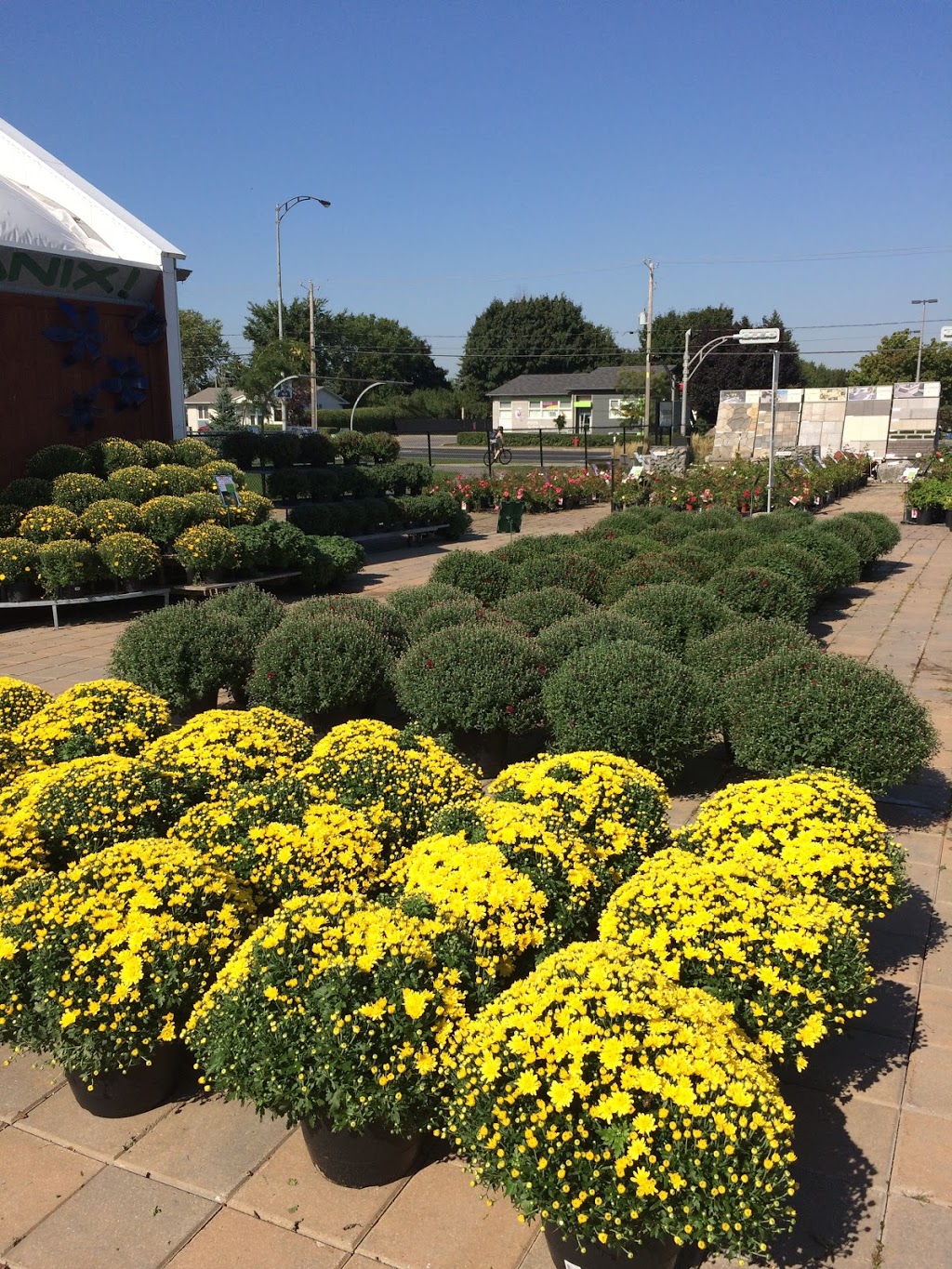 Botanix Faucher Plantes & Pavés | 1100 Chemin de Saint-Jean, La Prairie, QC J5R 2L5, Canada | Phone: (450) 659-2222