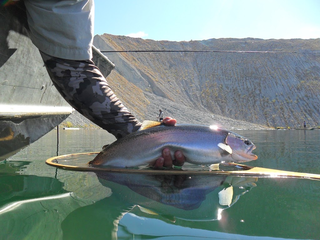 Tightline Fishing Adventures - Salmon SturgeonTrout Fishing | 49280 Bell Acres Rd, Chilliwack, BC V4Z 1C1, Canada | Phone: (604) 702-8224