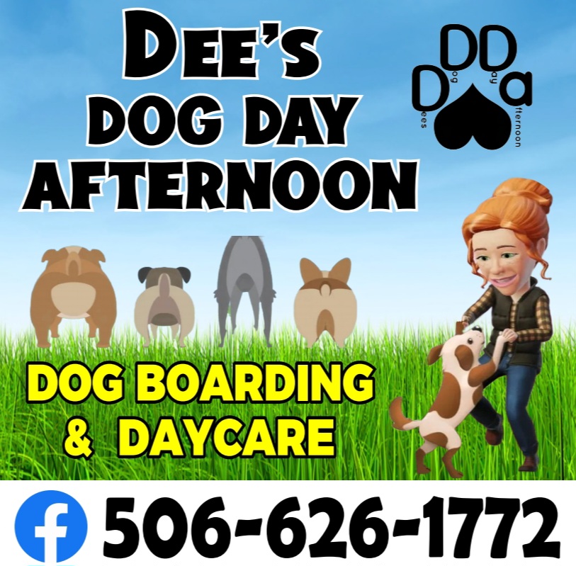Dees Dog Day Afternoon | 12824 NB-126, Nelson Parish, NB E1N 6G4, Canada | Phone: (506) 626-1772