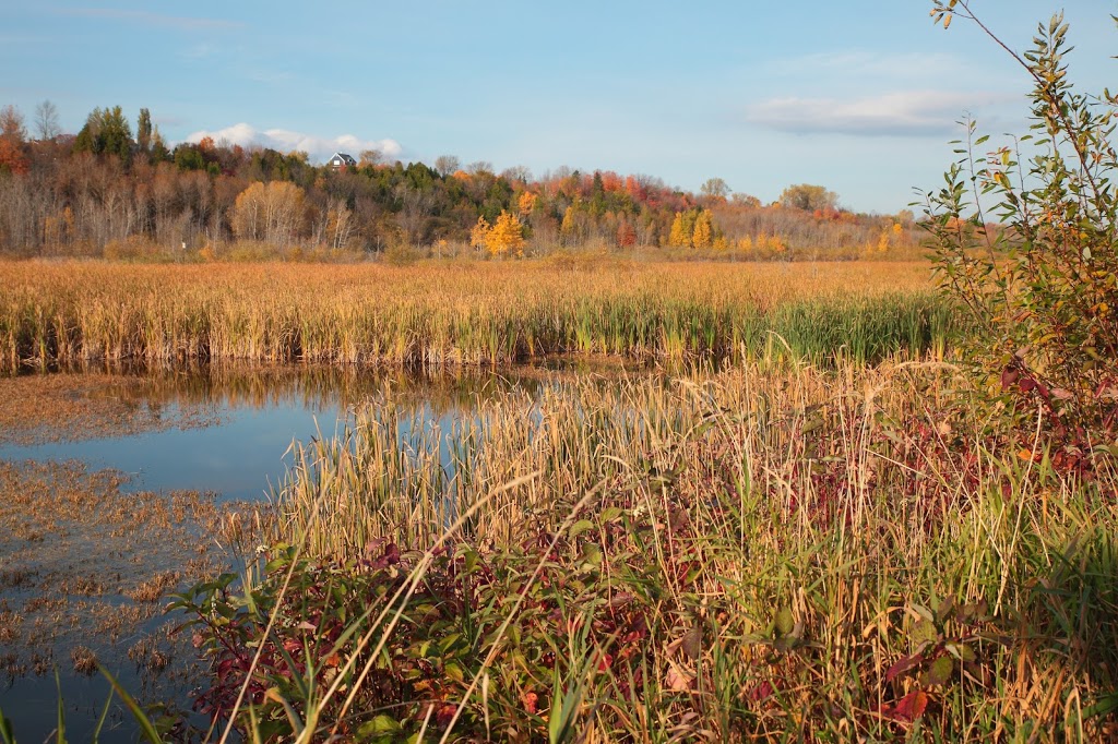 Réserve naturelle du Marais-Léon-Provancher | 151 Rue des Îlets, Neuville, QC G0A 2R0, Canada | Phone: (418) 554-8636