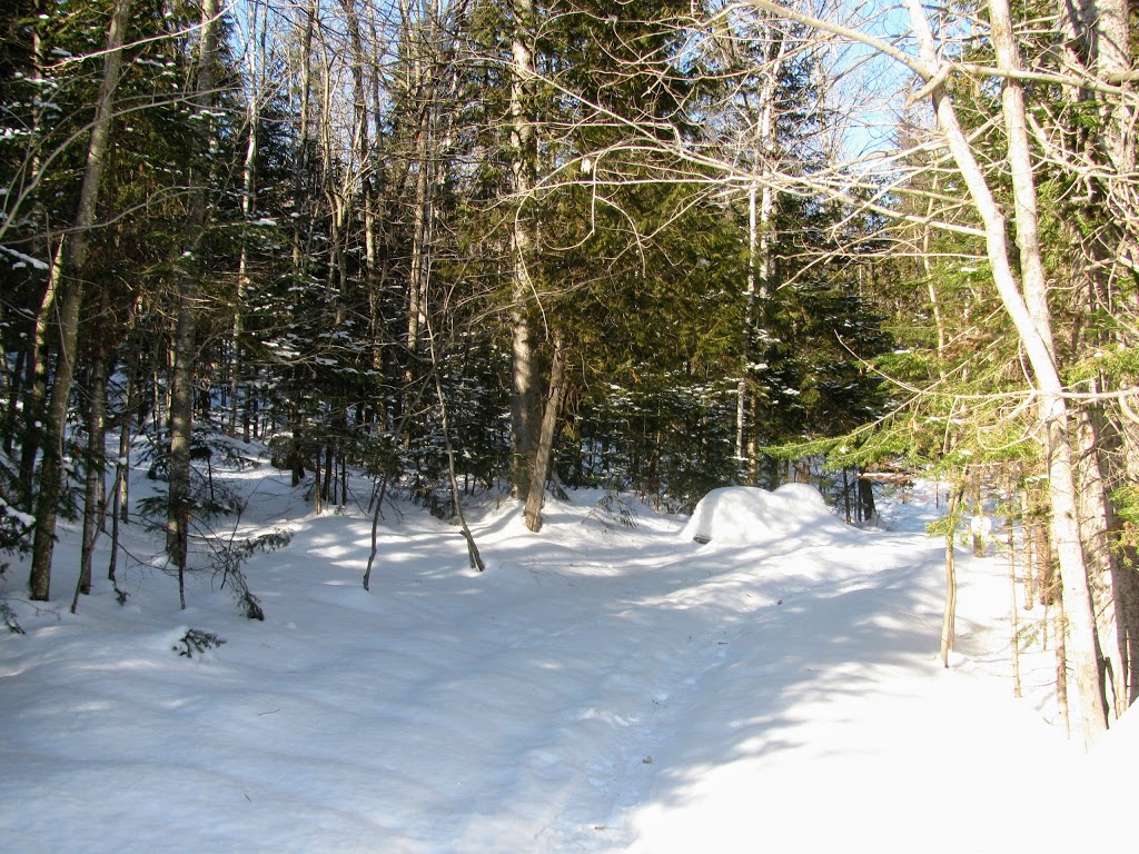 Sentiers de lAmitié | Avenue de lAmitié, Chertsey, QC J0K 3K0, Canada