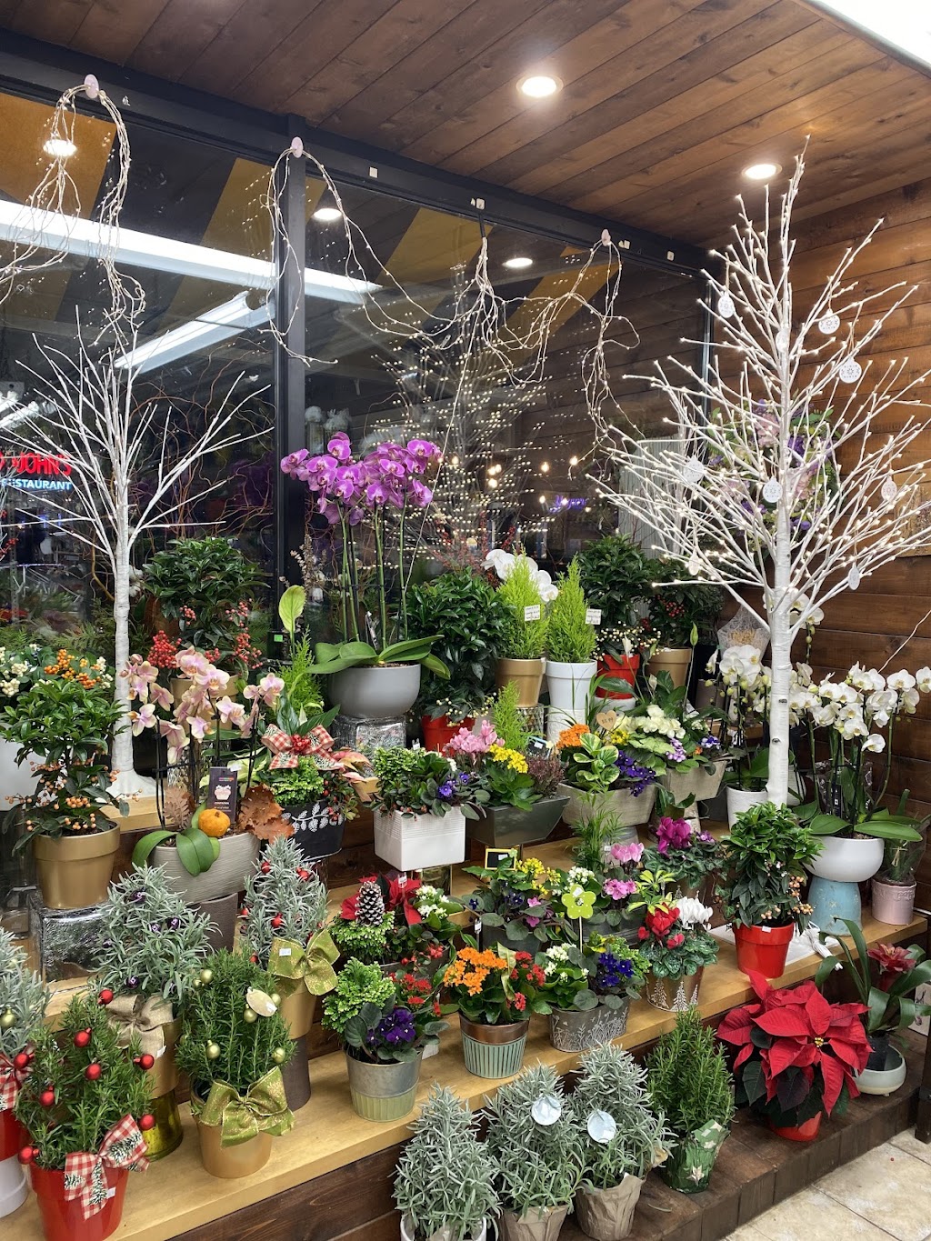 Bloor & Kennedy Flower Shop | 2194 Bloor St W, Toronto, ON M6S 1N4, Canada | Phone: (416) 766-0175