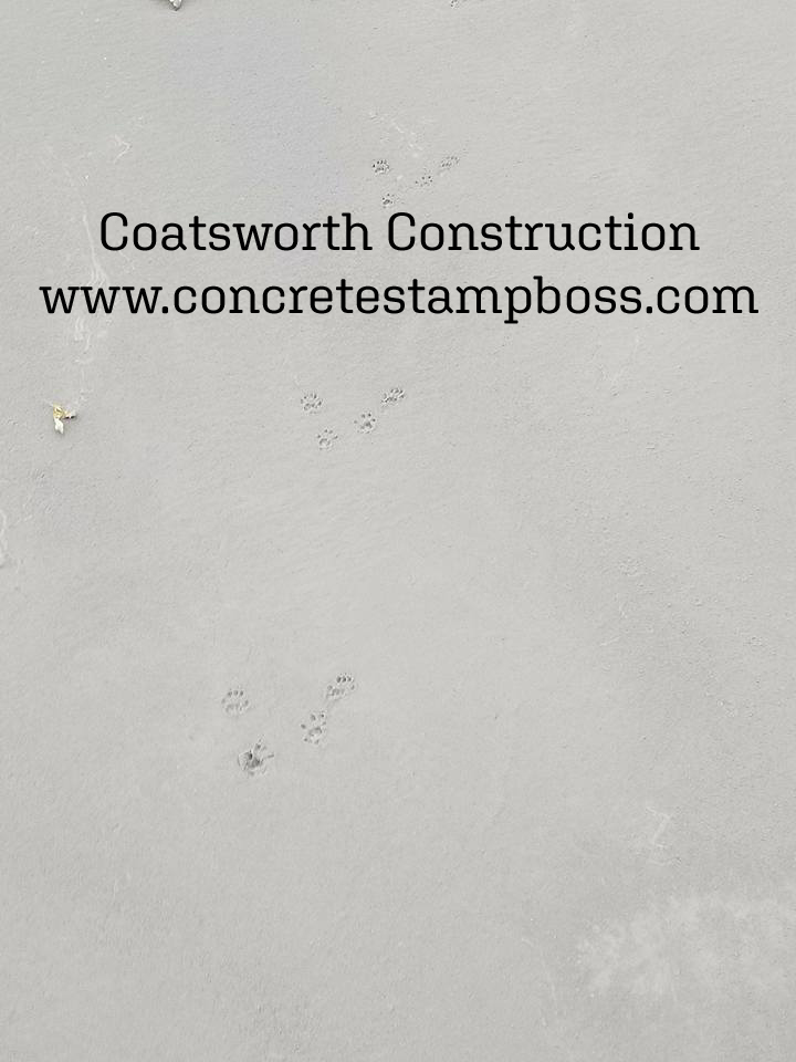 Coatsworth Construction | 1038 Maple Ave, Kingsville, ON N9Y 3T8, Canada | Phone: (519) 792-4210