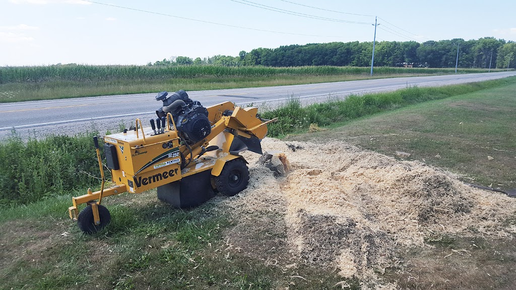 Arbor Life Tree Care | 3 Washington St, Norwich, ON N0J 1P0, Canada | Phone: (519) 860-5914