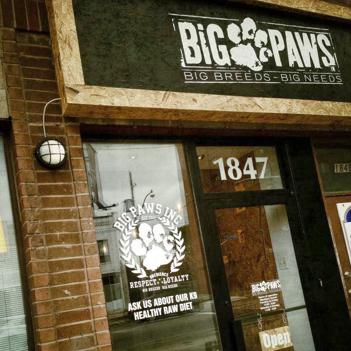 Big Paws Inc | 1847 Davenport Rd, Toronto, ON M6N 1B8, Canada | Phone: (855) 826-3535