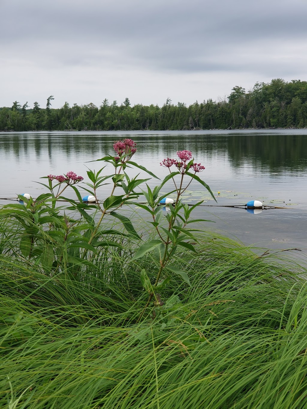 LutheRanch | Side Rd 30, Holland Centre, ON N0H 1R0, Canada | Phone: (519) 794-2849