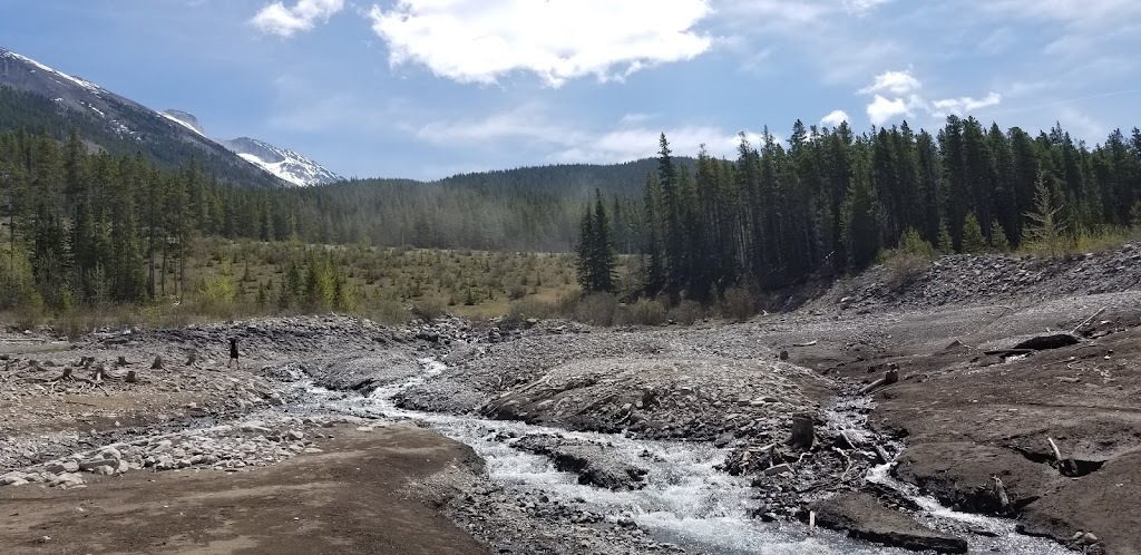 Sparrowhawk Day Use Area | Kananaskis, AB T0L 2C0, Canada | Phone: (866) 427-3582