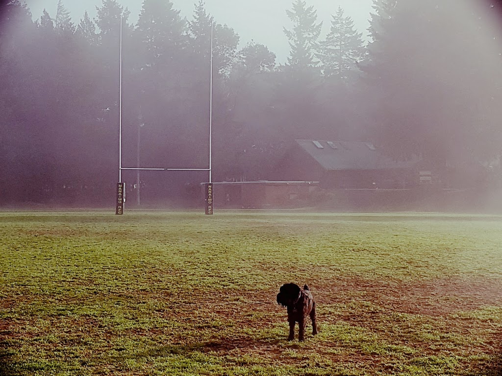 Nanaimo Hornets Rugby Club | 6700 Dover Rd, Nanaimo, BC V9V 1A6, Canada | Phone: (250) 390-2121